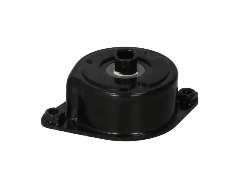 Napinacz paska wielorowkowego INA – 534 0239 10