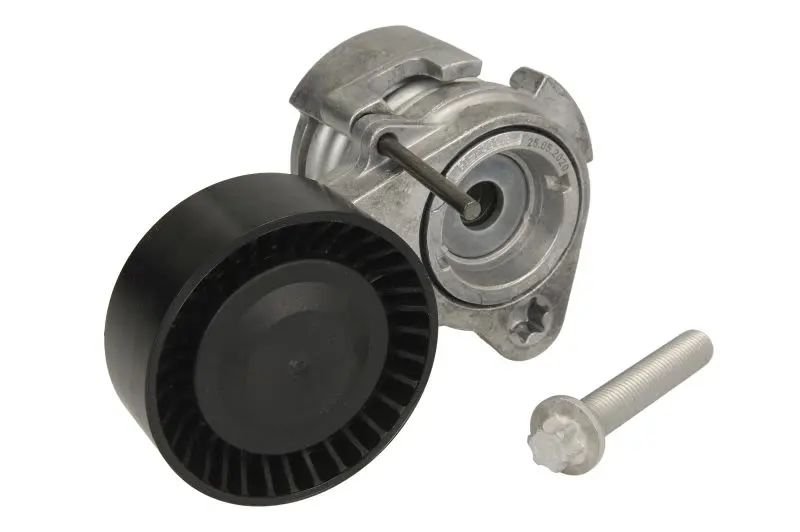Napinacz paska wielorowkowego INA – 534 0252 10