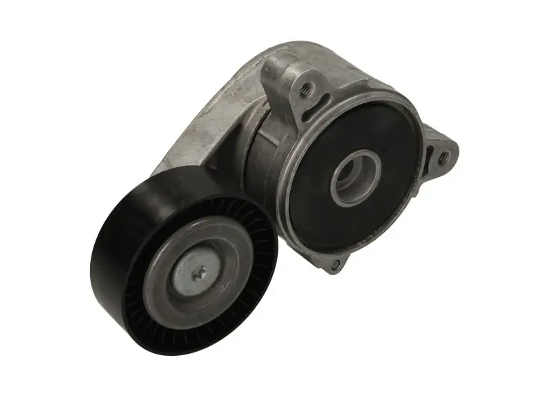 Napinacz paska wielorowkowego INA – 534 0361 10