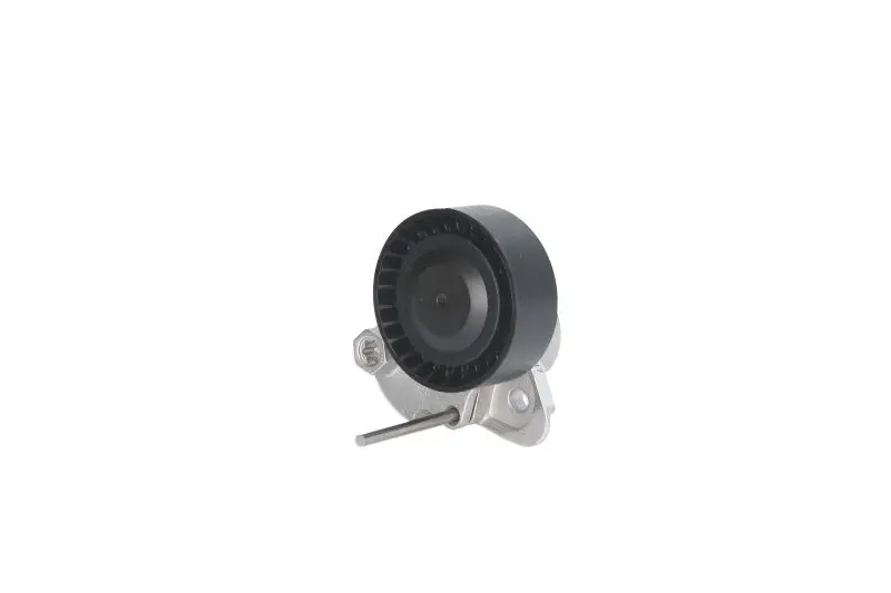 Napinacz paska wielorowkowego INA – 534 0497 10