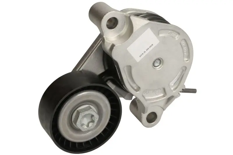 Napinacz paska wielorowkowego INA – 534 0571 10