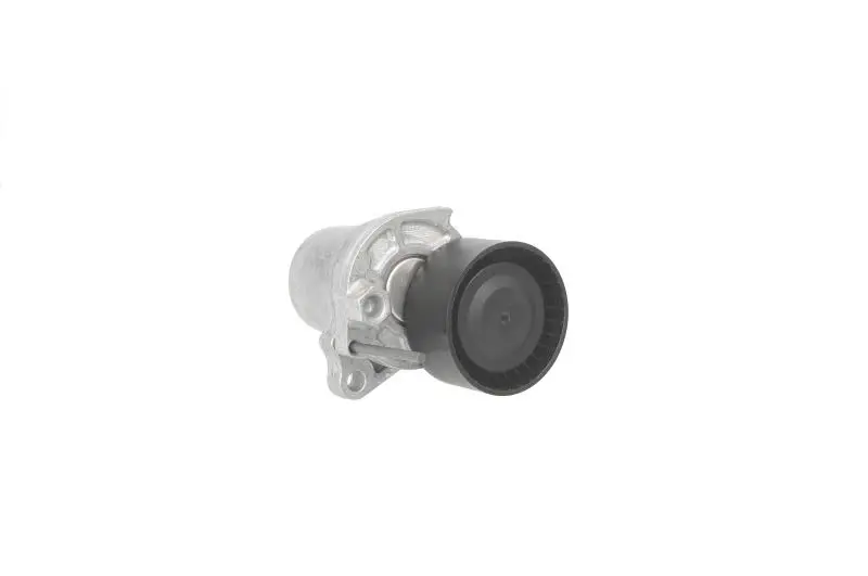 Napinacz paska wielorowkowego INA – 534 0624 10