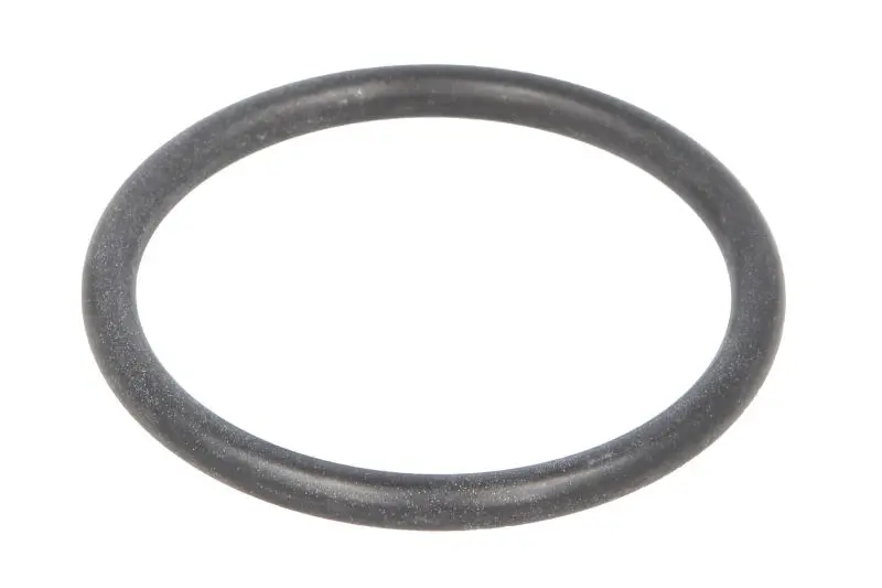 Oring skrzyni biegów 56xx5,3mm (oring) MERCEDES G 131-9 EURORICAMBI – 60531797