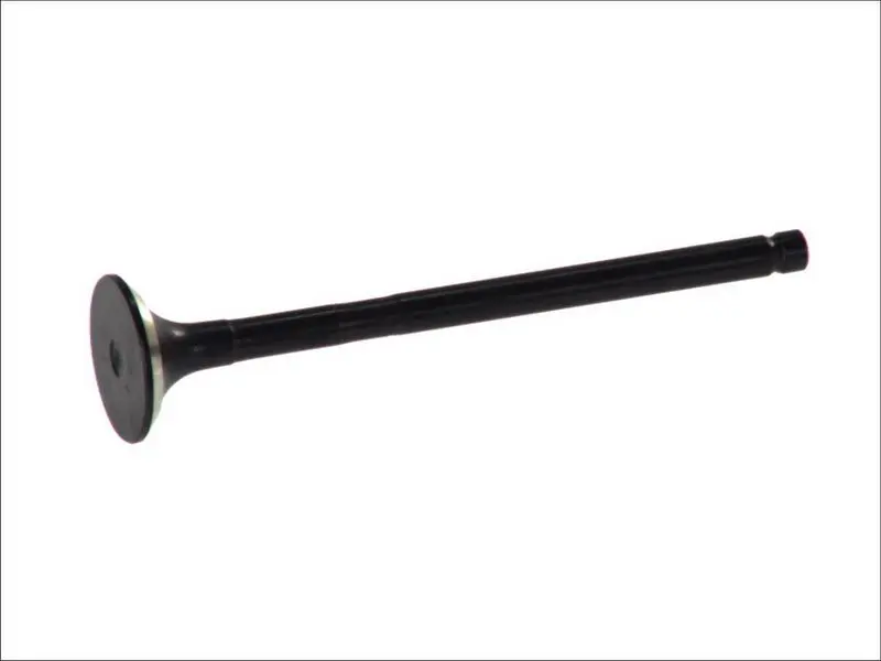 Zawór wydechowy (24x6x102) FRECCIA – 6184/RNT