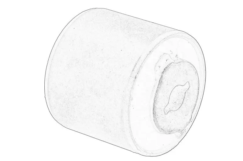 Silentblock mocowania dyferencjału tył CHRYSLER – 68091398AA