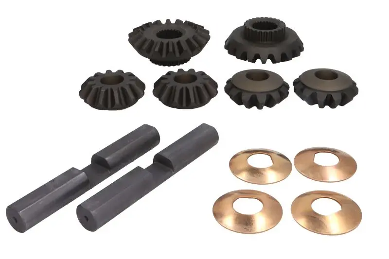 Zestaw naprawczy mechanizmu różnicowego CARRARO – 68442-CR