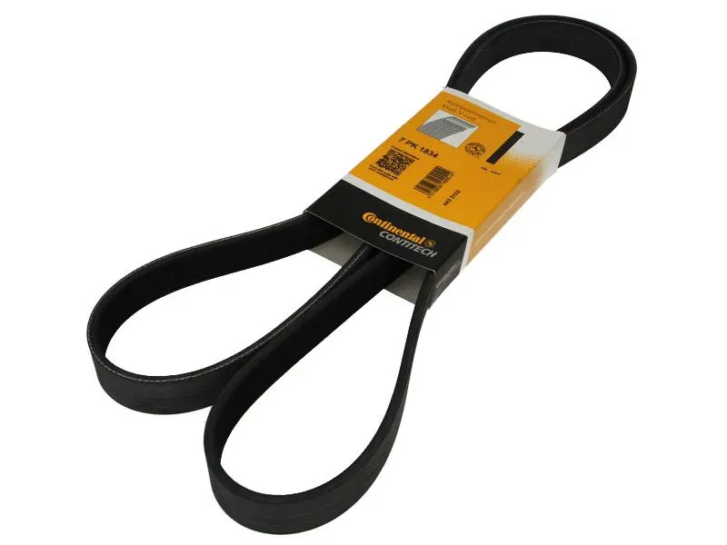 Pasek wielorowkowy (7PK1834) CONTITECH – 7 PK 1834
