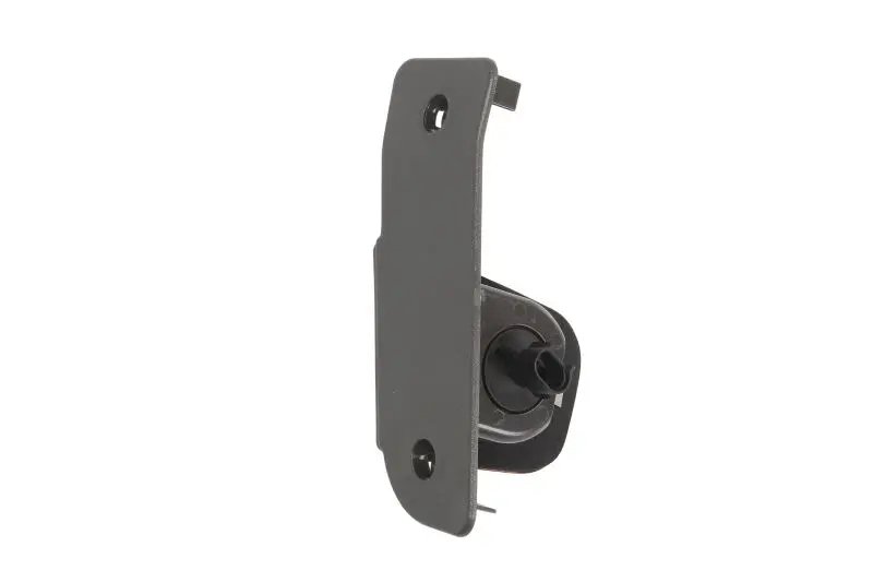 Lampa kierunkowskazu bok P DT SPARE PARTS – 7.25310