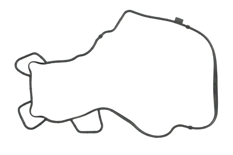 Uszczelka pokrywy zaworów REINZ – 71-18217-00