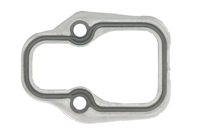 Uszczelka kolektora ssącego metal REINZ – 71-26069-20