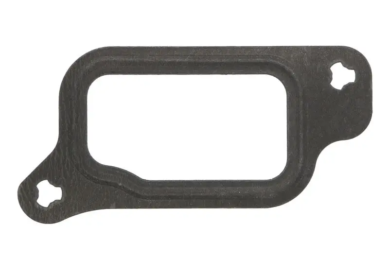 Uszczelka kolektora dolotowego/wydechowego REINZ – 71-34884-00