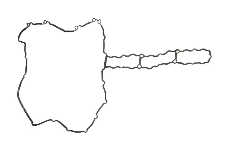 Uszczelka pokrywy zaworów REINZ – 71-39366-00