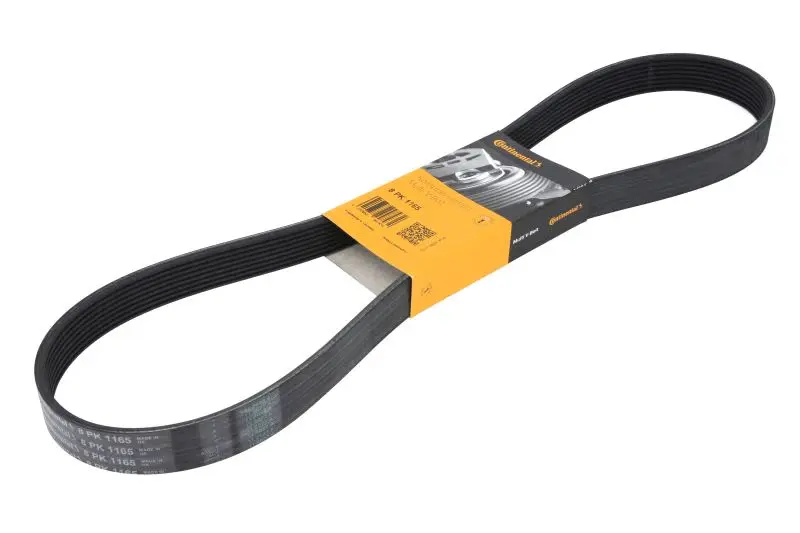Pasek wielorowkowy (8PK1165) CONTITECH – 8 PK 1165