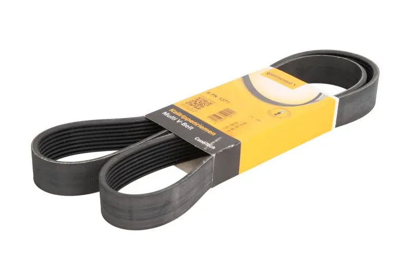 Pasek wielorowkowy (8PK1371) CONTITECH – 8 PK 1371