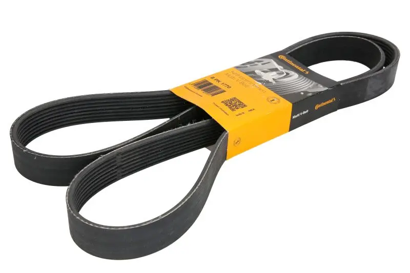 Pasek wielorowkowy (8PK1770) CONTITECH – 8 PK 1770