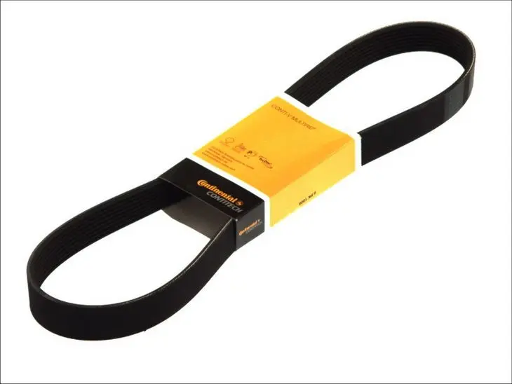 Pasek wielorowkowy (8PK2035) CONTITECH – 8 PK 2035