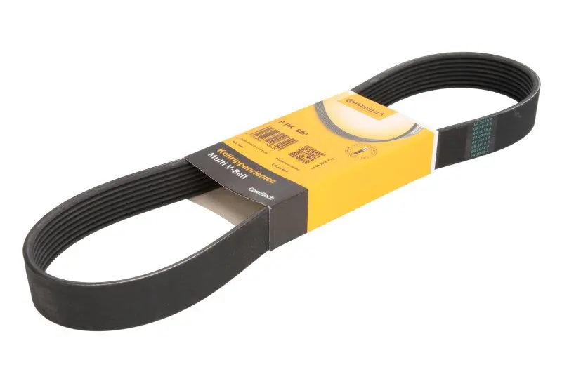 Pasek wielorowkowy (8PK880) CONTITECH – 8 PK 880