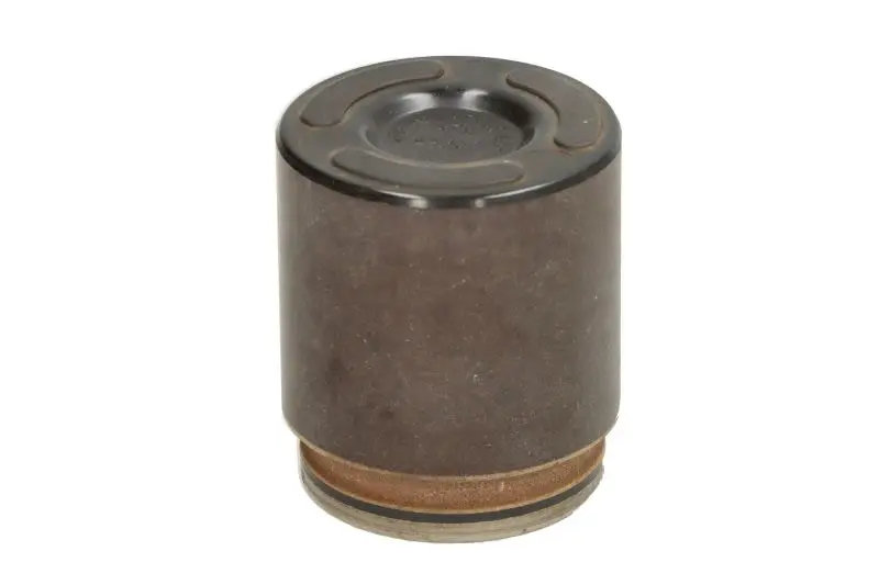 Tłoczek zacisku hamulcowego przód (zacisk dwutłoczkowy) BBP – 8224BBP
