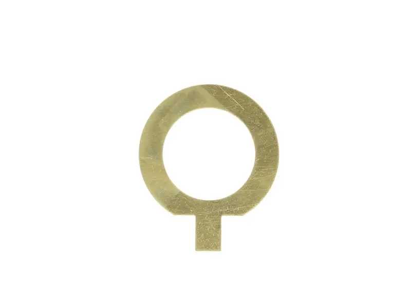 Element pompy oleju skrzyni biegów EURORICAMBI – 88530606