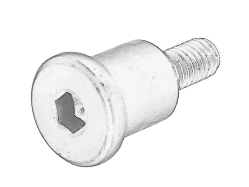 Element pompy oleju (Śruba prowadnicy łańcucha pompy oleju) HONDA – 90004-PNA-000
