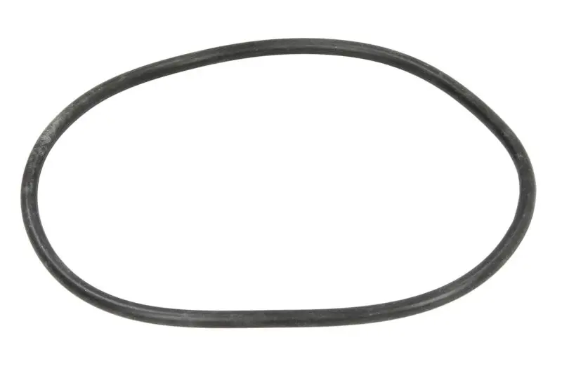 Oring skrzyni biegów 78x3mm ZF EURORICAMBI – 95534676