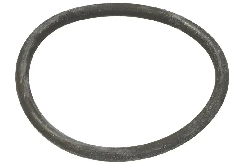 Oring skrzyni biegów ZF TRAXON EURORICAMBI – 95537253
