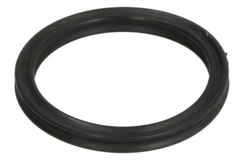 Hydrauliczna pompa zębata (uszczelniacz) AKUSAN – AG 0470