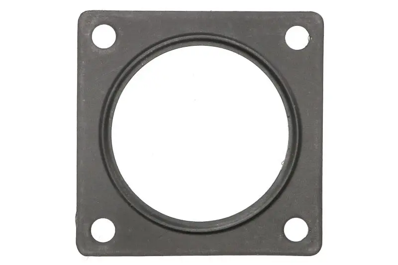 Uszczelka zaworu EGR AJUSA – AJU01193000
