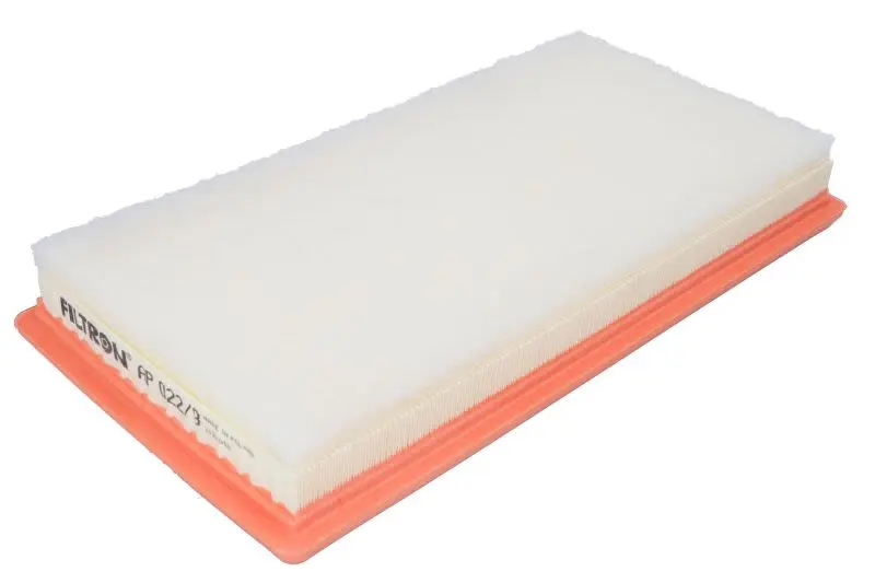 Filtr powietrza (Wkład filtra) FILTRON – AP 022/9