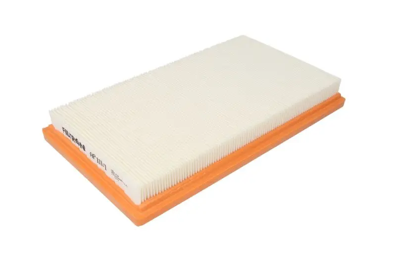 Filtr powietrza (Wkład filtra) FILTRON – AP 111/1