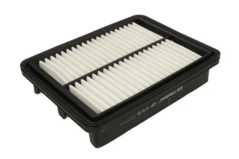 Filtr powietrza (Wkład filtra) FILTRON – AP 113/8