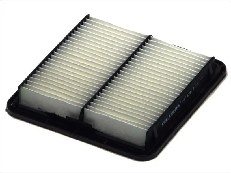 Filtr powietrza (Wkład filtra) FILTRON – AP 121/3
