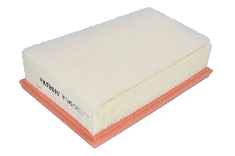 Filtr powietrza (Wkład filtra) FILTRON – AP 185/10