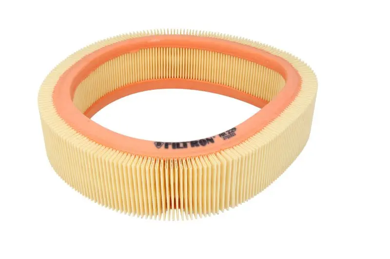 Filtr powietrza (Wkład filtra) FILTRON – AR 229