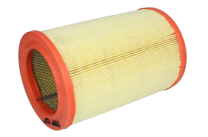 Filtr powietrza (Wkład filtra) FILTRON – AR 282/1