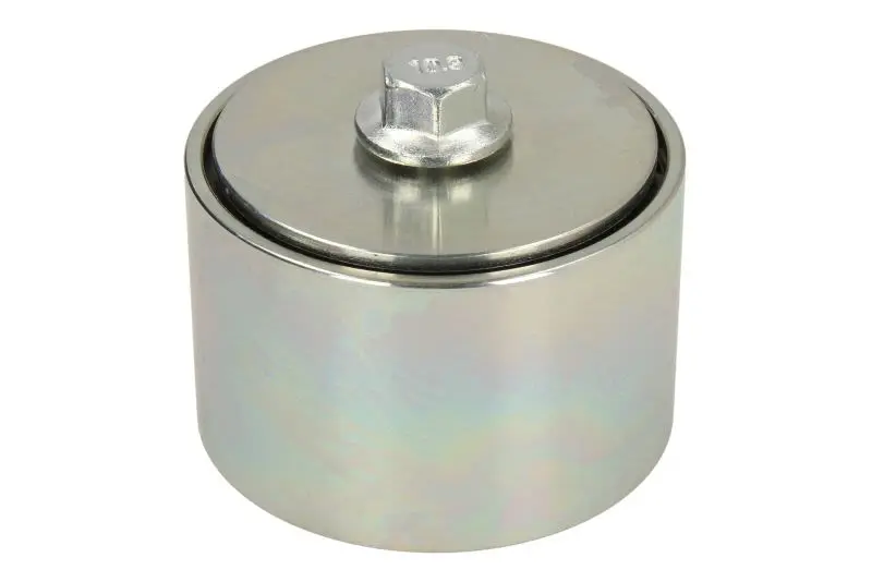 Rolka napinająca pasek wielorowkowy /74x34mm BTA – B05-AG-344
