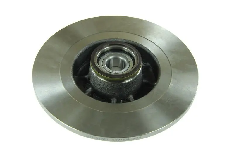 Tarcza hamulcowa z łożyskiem tył L/P (z piastą) DELPHI – BG9030RS