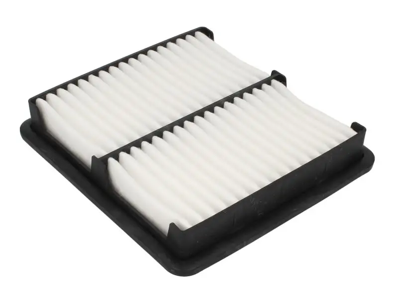 Filtr powietrza (Wkład filtra) MANN-FILTER – C 2119
