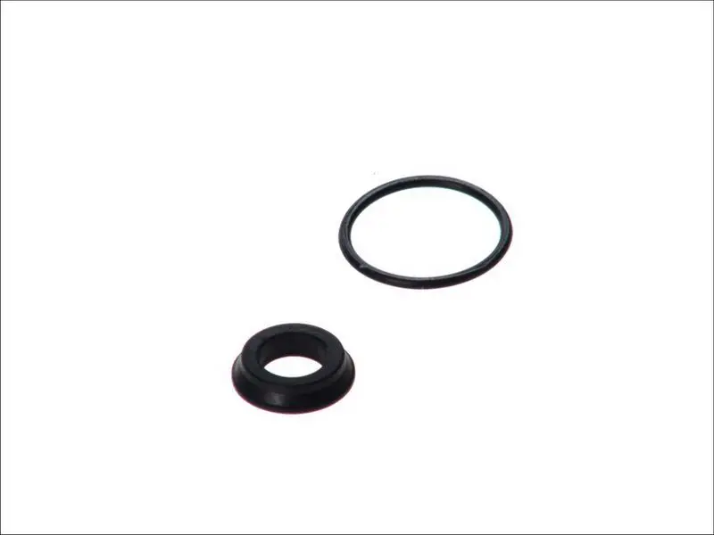Zestaw naprawczy pompy sprzęgła AUTOFREN SEINSA – D1-714