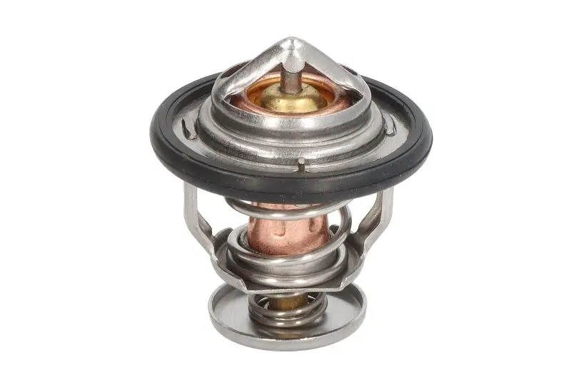 Termostat cieczy chłodzącej THERMOTEC – D2AG018TT