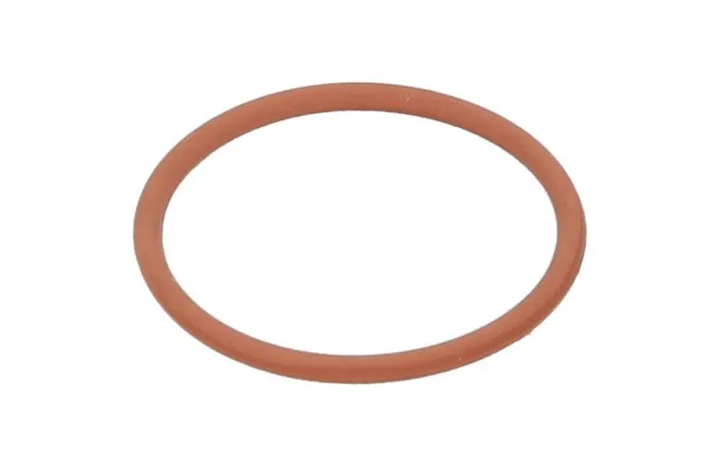 Oring pompowtryskiwacza (DeLphi 27x) DELPHI DIESEL – DEL7200-0271-12B1