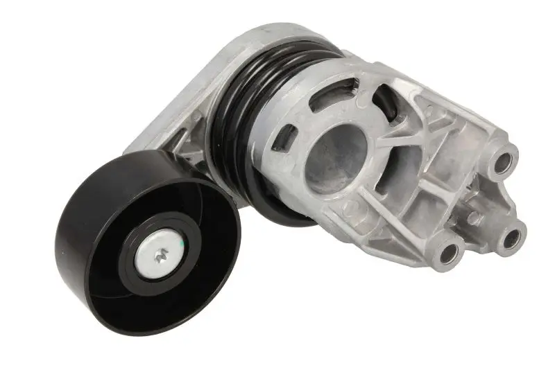 Napinacz paska wielorowkowego BTA – E3W0025BTA