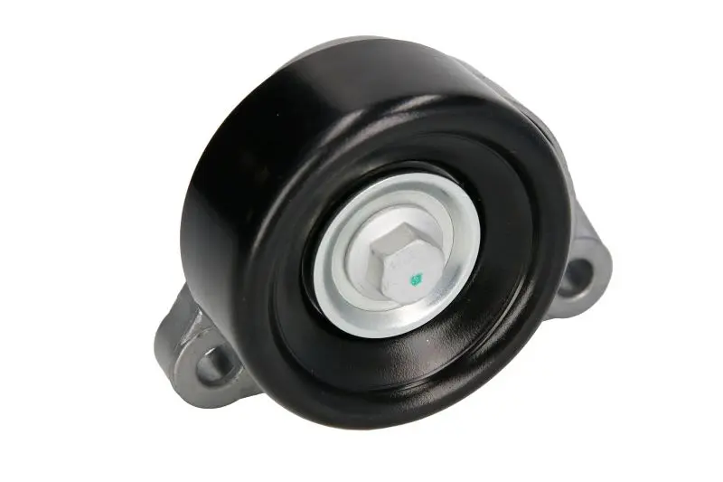 Napinacz paska wielorowkowego BTA – E3X0004BTA