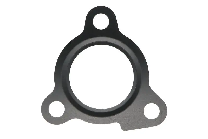 Uszczelka zaworu EGR ELRING – ELB07100