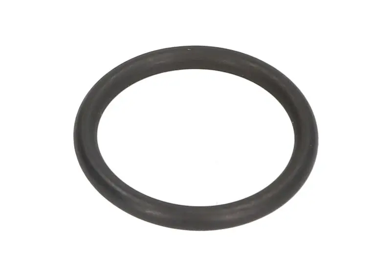 Oring korpusu wtryskiwacza CR BOSCH – F 00R J01 950