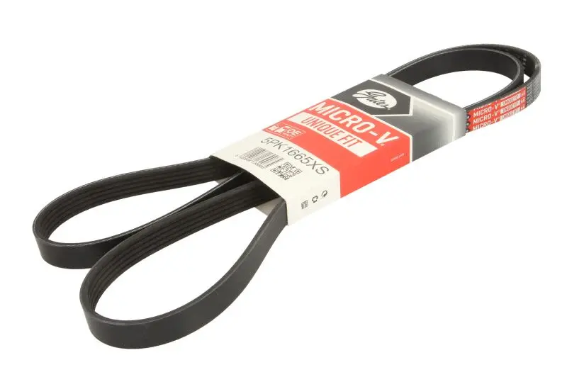 Pasek wielorowkowy (5PK1665) GATES – GAT5PK1665XS
