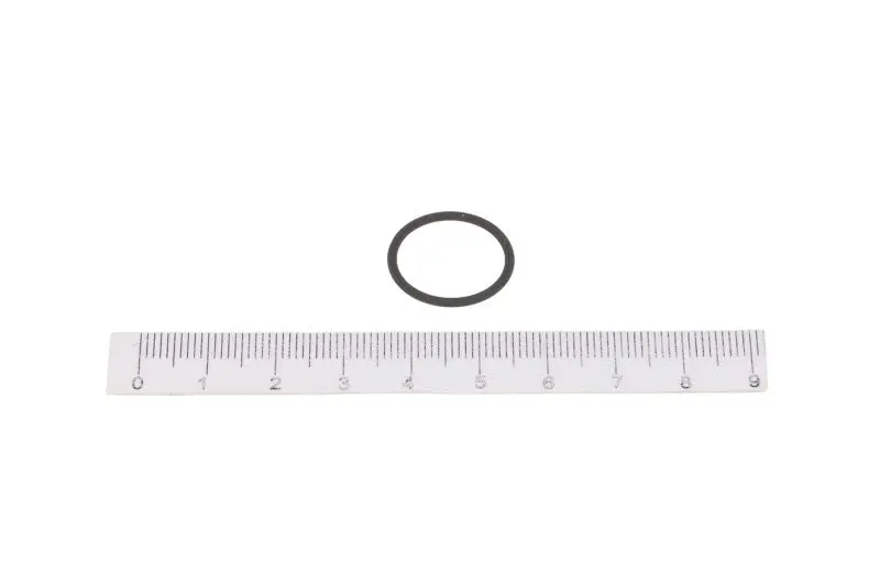 Oring czujnika ciśnienia paliwa na szynie CR HANS PRIES – HP116 555