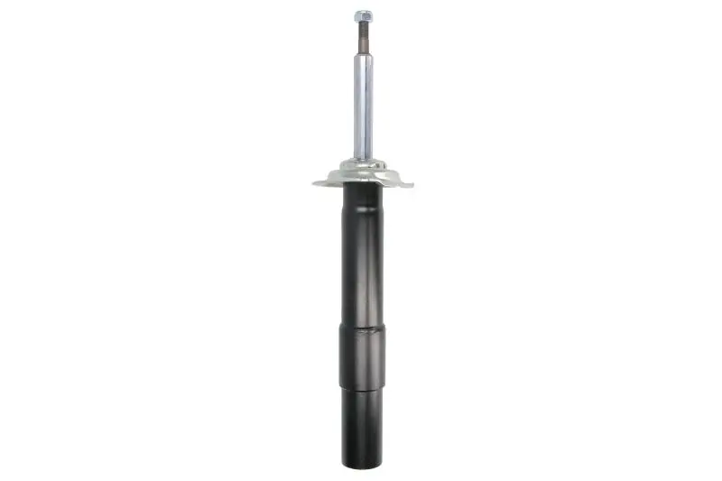 Amortyzator zawieszenia TRW AUTOMOTIVE – JGM1113SR
