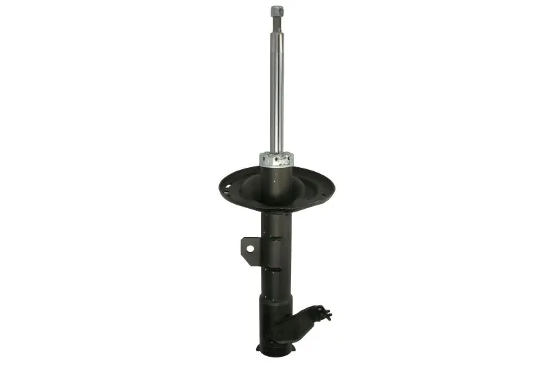Amortyzator zawieszenia TRW AUTOMOTIVE – JGM1255SL