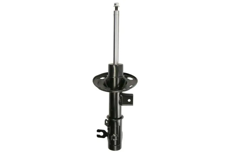 Amortyzator zawieszenia TRW AUTOMOTIVE – JGM1361SR